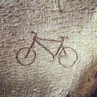 Bike in bark