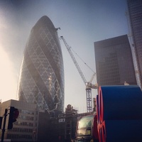 Love and the gherkin