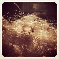 Golden curls