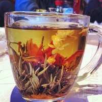 Flowering Jasmine Tea