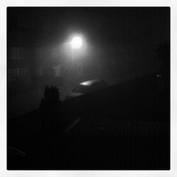Foggy night
