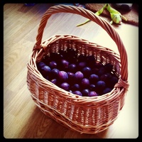 A hoard of plums